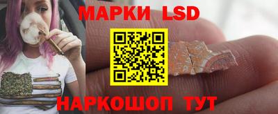 сатива Аргун