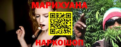 сатива Аргун