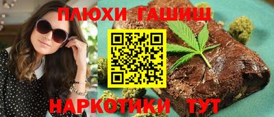 сатива Аргун