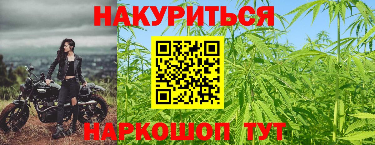 Канабис сатива Белая Калитва
